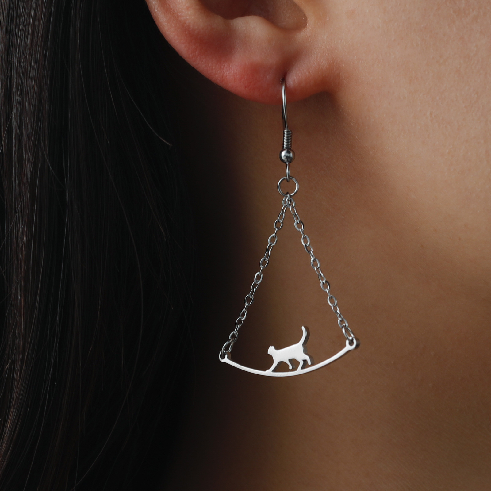 Gato caminando - Imagen 4